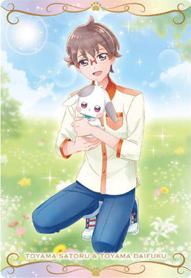 No.16 �ƻ���/�ƻ���ʡ N (2767234) �ץꥭ�奢�����ɥ����ϡ���11