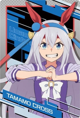 ☆ ウマ娘 シンデレラグレイ タマモクロス 5巻表紙 特製ポスター