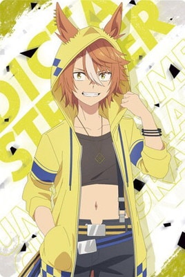 アニメ『ウマ娘 シンデレラグレイ』ツインウエハース 13 ディクタス