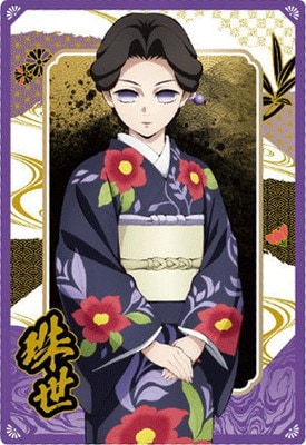 Ǥοϥϡ10 W10-16  N