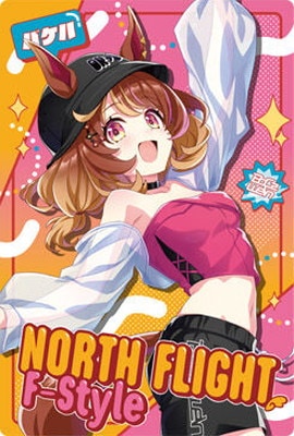 W9-20 [North Flight as]F-Style BoC��z we��n ����̼ �ץ�ƥ��������ӡ� �ĥ��󥦥��ϡ��� ��9R