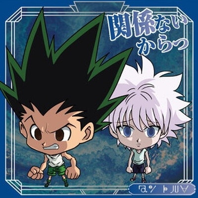 HH9-12 ��������륢 N �ˤդ���᡼����� HUNTER��HUNTER ������ߥ����ϡ���vol.9