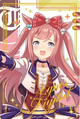 WSR3-19 アグネスデジタル R ウマ娘 プリティーダービー ツイン