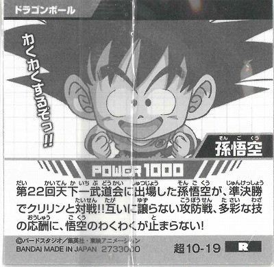 Ķ10-19 ¹��� R