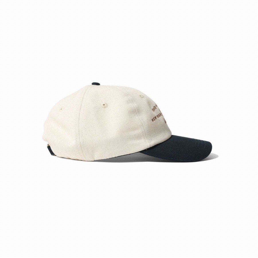 LFYT : UNISPHERE DAD HAT