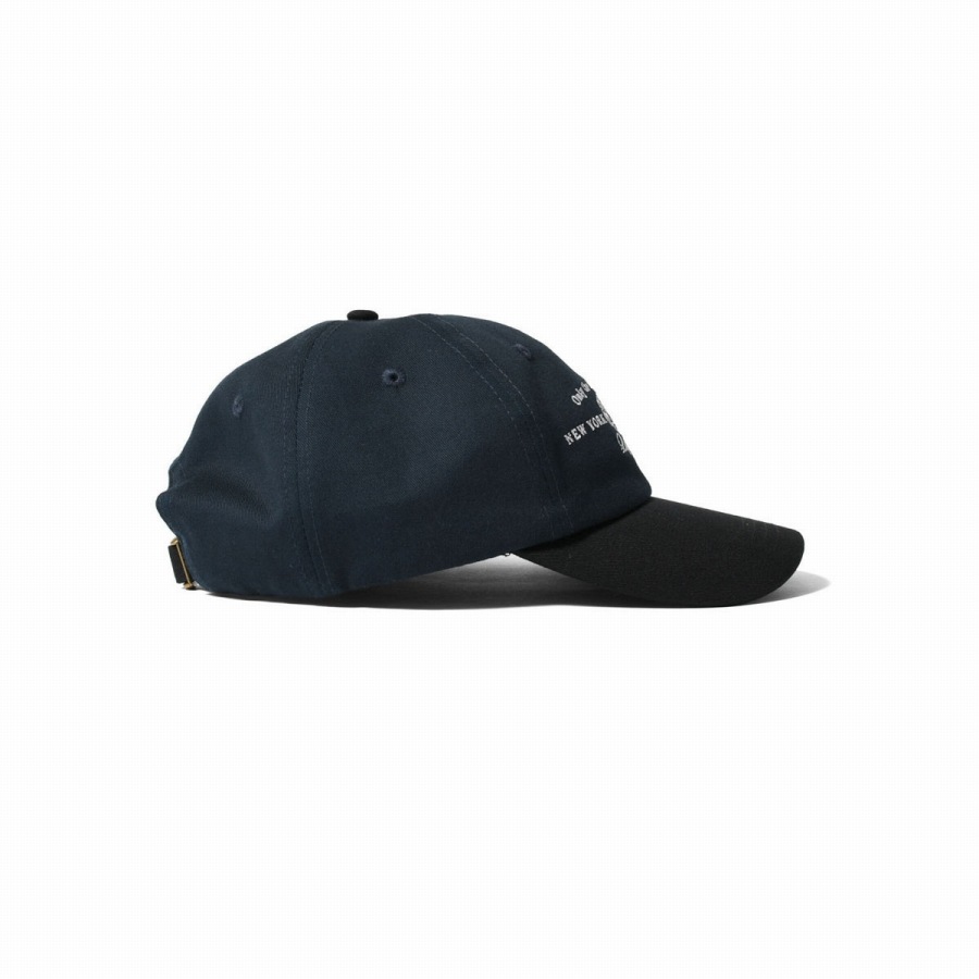 LFYT : UNISPHERE DAD HAT