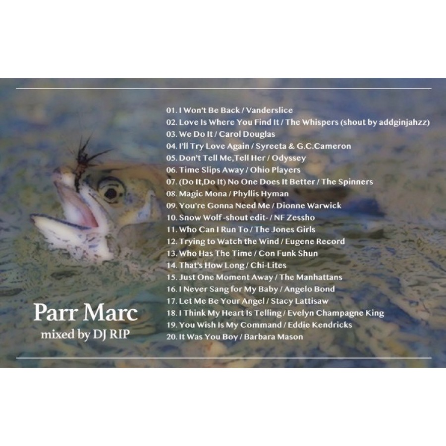 DJ RIP / Parr Marc