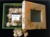 �ţ���ã���������Aromatic Flowers  Garden�����꡼��
