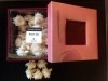 OBI Collection��Aromatic Flowers  Warm Sky ��å�