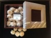 OBI Collection��Aromatic Flowers  Gentle Breeze���١�����