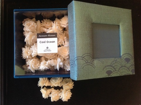 OBI Collection��Aromatic Fiowers  Cool Ocean �֥롼