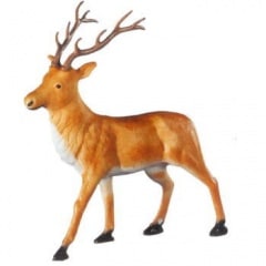 �֥饦��쥤��ǥ�����