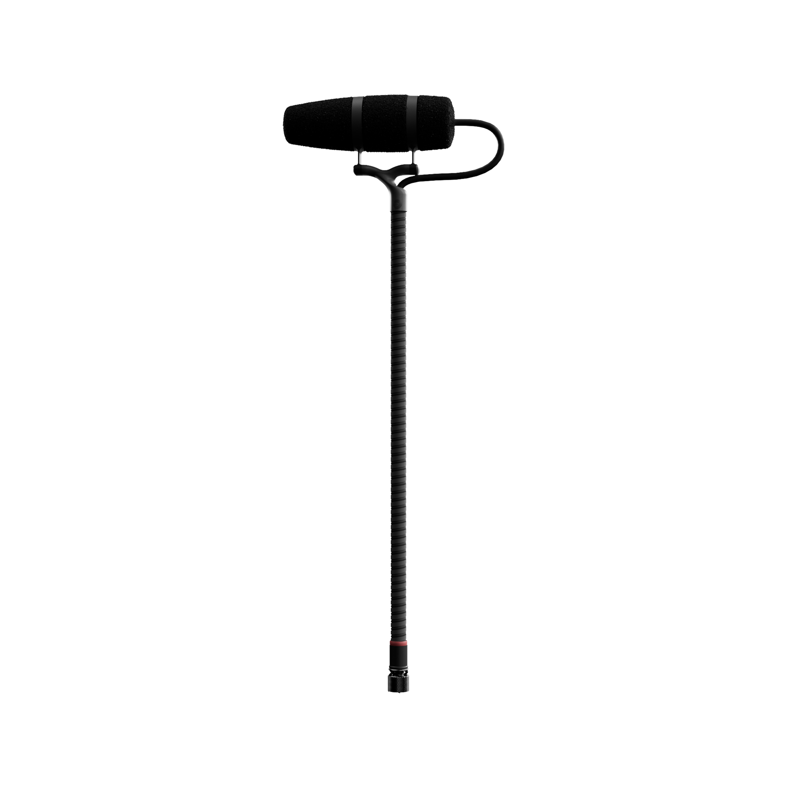 2_000000005538.png?1769673504