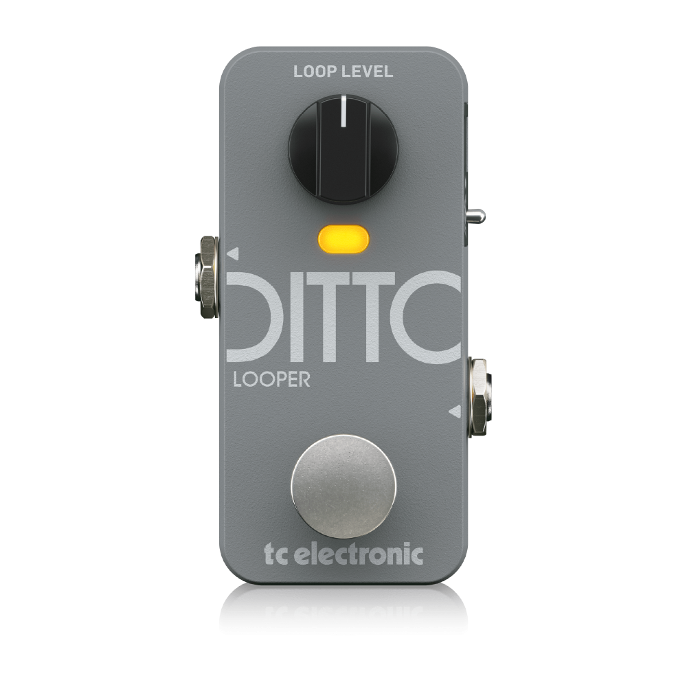 TC ELECTRONIC【DITTO 2 LOOPER】コンパクトエフェクター (ルーパー)
