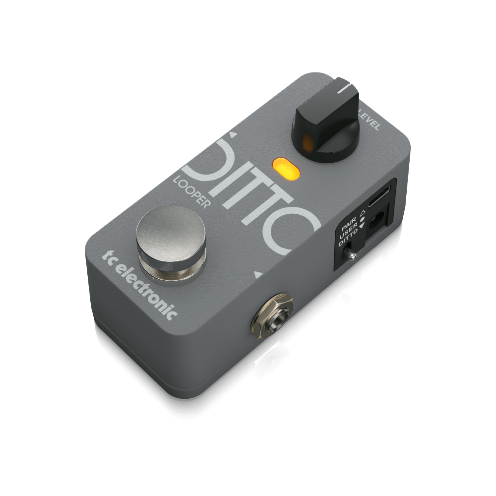 TC ELECTRONIC【DITTO 2 LOOPER】コンパクトエフェクター (ルーパー)