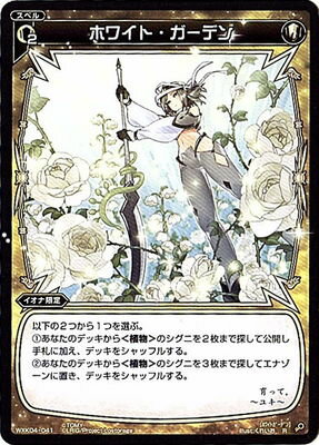 WXK04-041 �ۥ磻�ȡ������ǥ� R