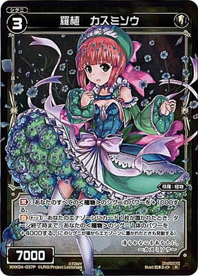 �ڥѥ����WXK04-037P �忢 �����ߥ��� R-P