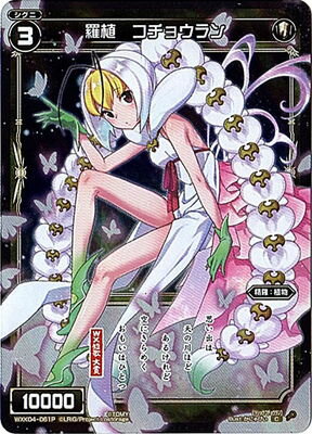 �ڥѥ����WXK04-061P �忢 �����祦��� C-P