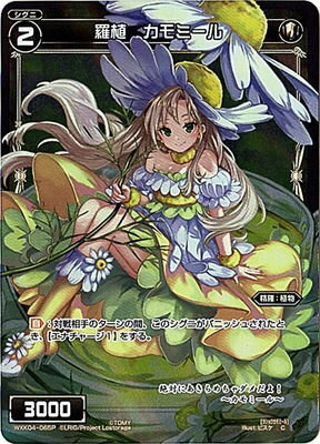 �ڥѥ����WXK04-065P �忢 ����ߡ��� C-P