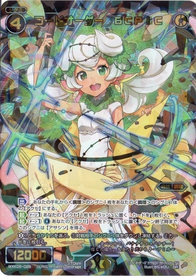 WXK05-026 �����ɥ������� �£ãУɣ� SR