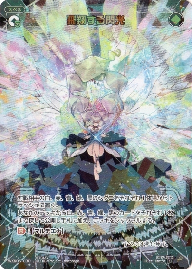 WXK05-030 ���Ƥ������� SR