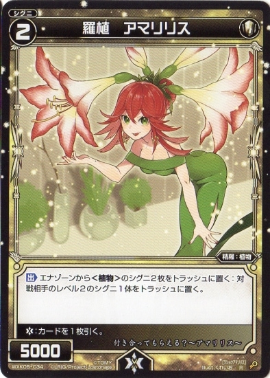 WXK05-034 �忢 ���ޥ�ꥹ R