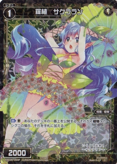 �ڥѥ����WXK05-054P �忢 �������� C-P