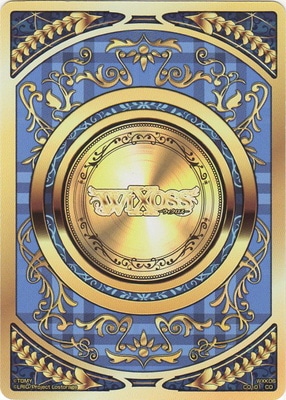 WXK06-CO-01 ������