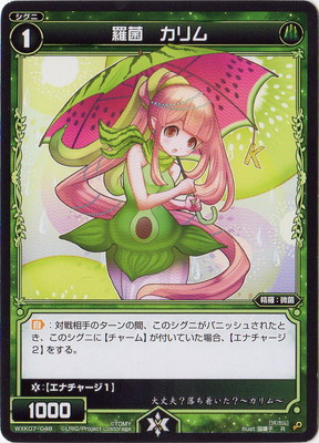 WXK07-048 ��� ����� R