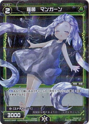 �ڥѥ����WXK07-045P ��� �ޥ󥬡��� R-P