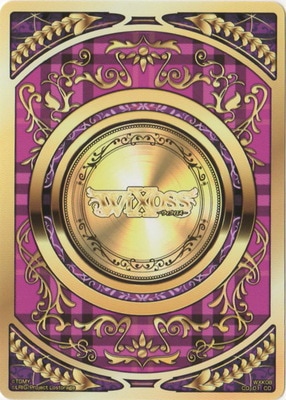 WXK08-CO-01 ������