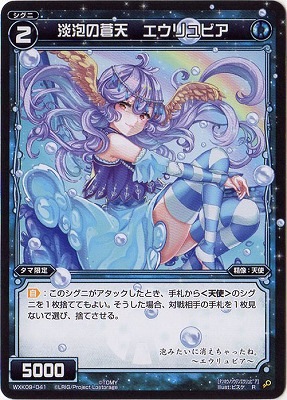 WXK09-041 øˢŷӥ R