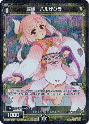 �ڥѥ����WXK11-049P �忢���ϥ륶���� C-P