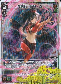 �ڥѥ����WX12-011P �ֺ��� ͷ�����P-LC