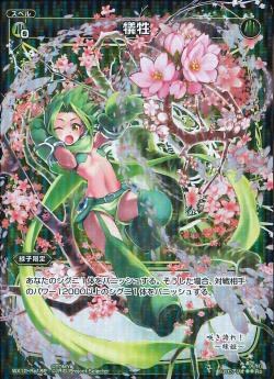 �ڥѥ����WX12-Re18P ������P-Re