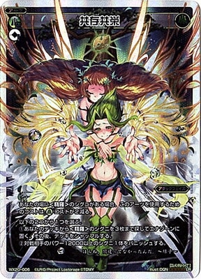 WX20-006����¸���ɡ�LR