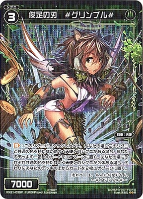 �ڥѥ����WX21-039P����­�ο� �������֥����P-R