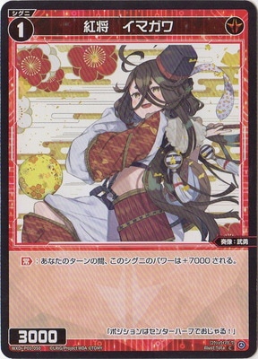 WXDi-P00-050 �Ⱦ������ޥ��� C