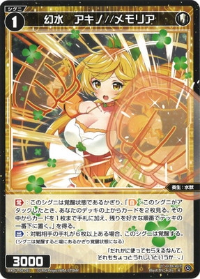 WXDi-P08-051 ���塡������//���ꥢ R