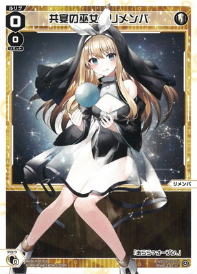 WXDi-P10-010 ��������������� LC