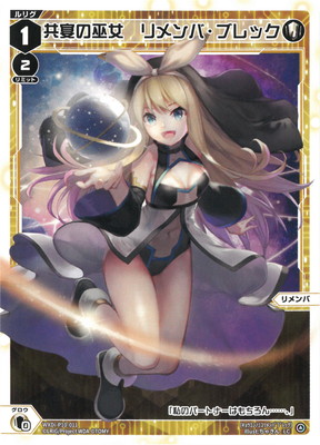 WXDi-P10-011 ��������������С��֥�å� LC