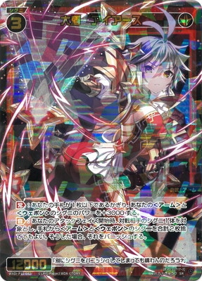 WXDi-P11-041 ��⡡���������� SR