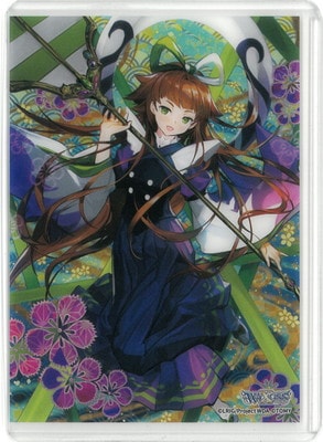 特典サイドローダー