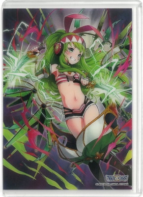 ��WXDi-P11 BOX������ŵ�ۥ����ɥ�������UR��ꥰver.�֥����䥤��