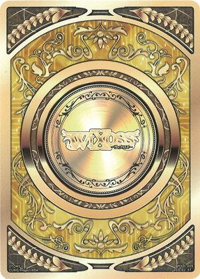 WXDi-D09-CO-01 ������ ST