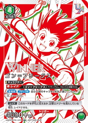 HUNTER×HUNTER【HTR】