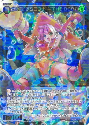 WXDi-P15-050 ����ɱ���ե������ʥ�//THE DOOR SR