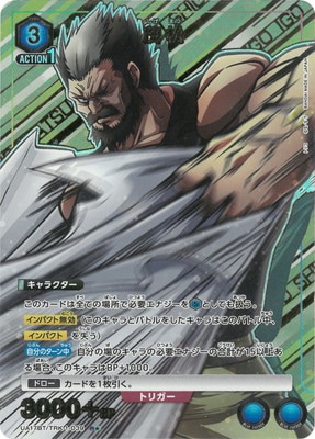 トリコ SR★★★ パラレル 2枚 トリコ SR パラレル 2枚