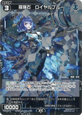 WX24-D3-21 �嵱�С��������֥롼 ST