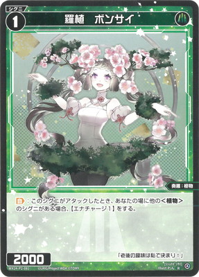 WX24-P2-081 �忢���ܥ󥵥� R 